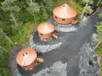 野生動物園探險營地