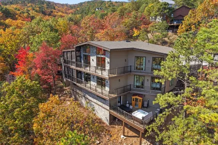 New Build with Amazing Views in Massanutten