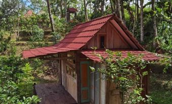 Homestay Ijen Lemon House