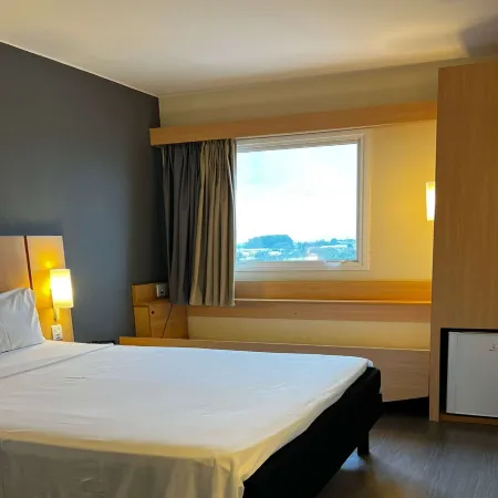 Ibis Catalao