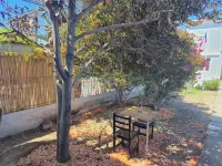 Illariy Wasi Hostal Hotels near Letras la lisera