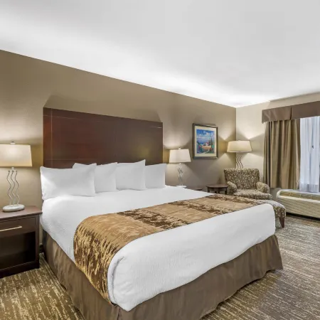Best Western Plus Pembina Inn  Suites