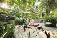 Padma Resort Ubud - Family