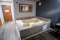 Coratel Inn and Suites By Jasper Eagan St Paul Airport & Mall of America - Wifi