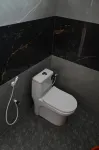 Regular Point