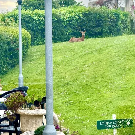 Louisa Lodge & Purbeck House Hotel