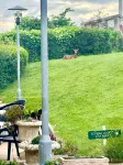 Louisa Lodge & Purbeck House Hotel