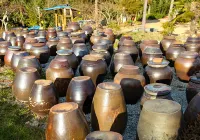 Haenam Hambakgolkeunggigiwajip Pension
