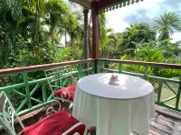 The Greenside Cottages - Private Tropical Garden - Residential Area 5 Mins from the Beach Hotels in St. John's