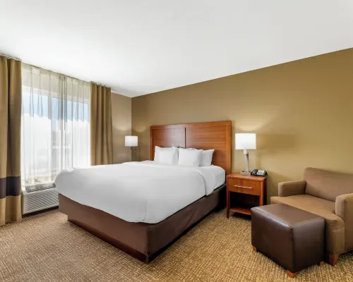 Comfort Inn & Suites Porter Near Indiana Dunes Hotels in Porter