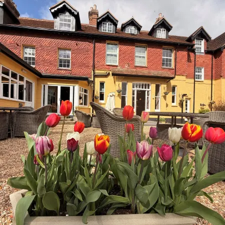 Moorhill House Bed & Breakfast Hotels in New Forest District