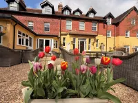 Moorhill House Bed & Breakfast
