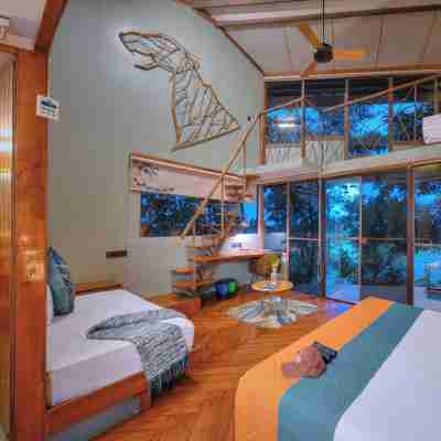 Tadoba Jungle Camp Rooms
