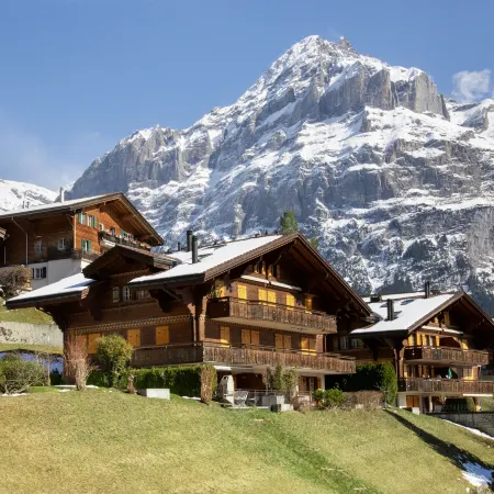 Chalet Cortina