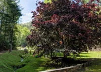 Appalachian hideaway