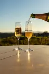 Carter Estate Winery and Resort - bar