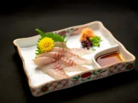 Hida Tomoe Hotel Hotels in Hida