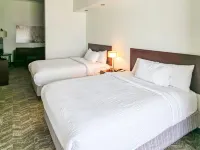 SpringHill Suites Ardmore - 朝食