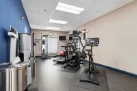 Hampton Inn & Suites Houston - Rosenberg - Gym
