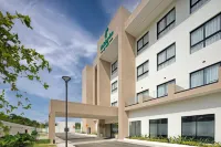 Holiday Inn PUERTO PLATA-COFRESI BAY AREA by IHG - Baarit
