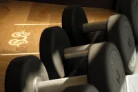 Domaine le Mouflon d'Or - Gym