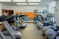 Powerscourt Hotel, Autograph Collection - Gym