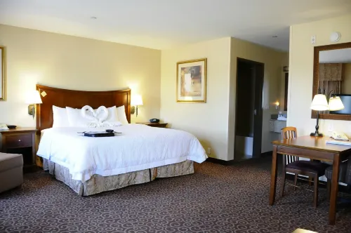Hampton Inn & Suites Red Bluff - Parking