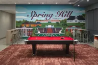 Tru by Hilton Spring Hill - 3-Star