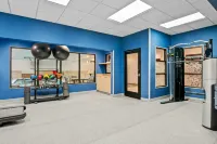 Hampton Inn & Suites Detroit-Canton - Gym