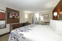 Red Roof Inn Fredericksburg North - Motels