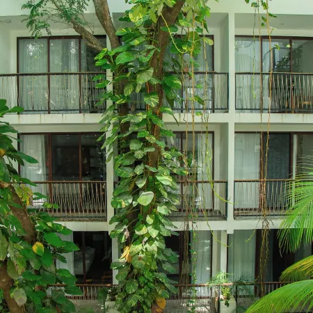Hotel Blanco Tulum