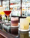 Plaza Blumenau Hotel - bar