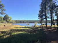 Coco's Creekside Cabin with Hot Tub, Firepit, and AC/Heat in Munds Park! - Dağ evi