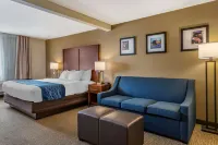 Comfort Inn & Suites Texas Hill Country Hotels in Boerne