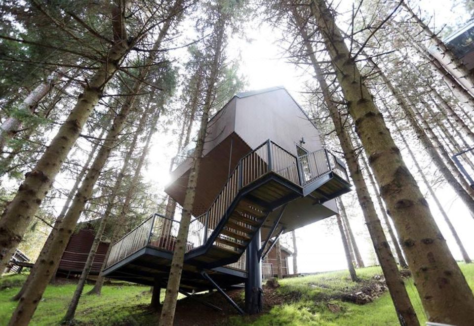 1. Tree Hou..