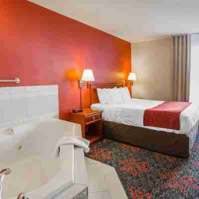 Comfort Inn & Suites University Rooms