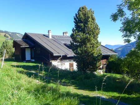 Chalet Anthamatten Отели в г. Валь-д'Илье