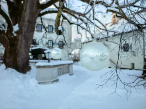 貝爾格萊德宮 - 限成人