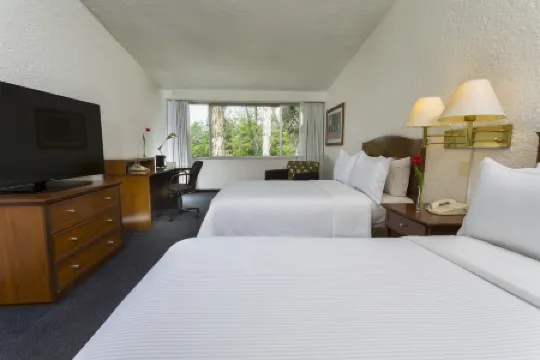 帕丘卡伽瑪酒店