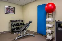 Sleep Inn Geismar - Gonzales - Gym