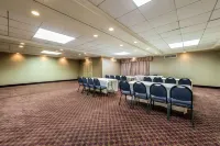 Comfort Suites Hotels in Marion