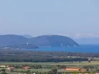 Il Corbezzolo