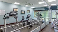Holiday Inn Express & Suites CUERNAVACA by IHG - Gym