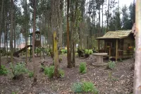 Hotel Medina Del Lago Hotels in Песильо