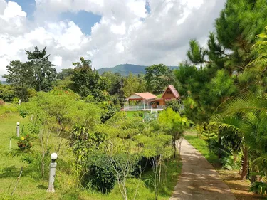 รูปภาพของบ้านพนาวันเขาค้อรีสอร์ท(Baan Phanawan Resort)