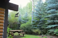 High Country Motel Hotels in 