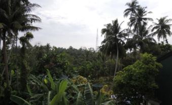 The Residence Bentota