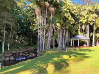 Mt Tamborine Stonehaven Manor Hotels in Clagiraba