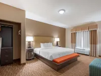 Best Western Plus DFW Airport Suites Hotels in Irving