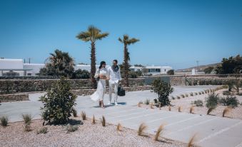 Adama Mykonos Boutique Hotel